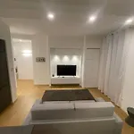 Luxury In Stile Moderno